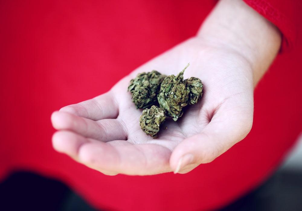 The Difference Between CBD and CBG – Enecta