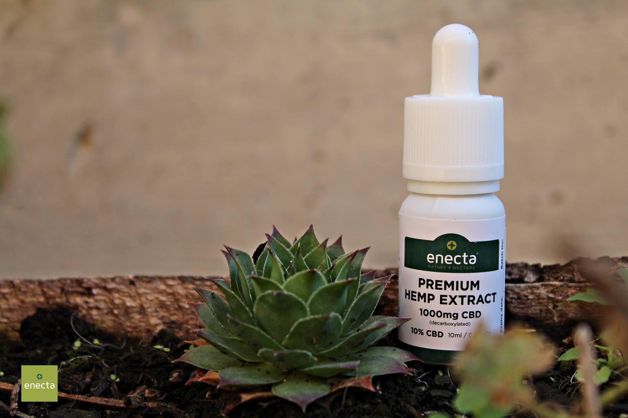 Top Quality CBD Oil: which criteria should be applied to make the right choice - Enecta.en