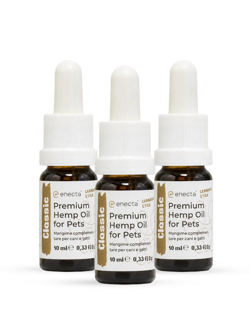 3er-Pack | Premium Hanföl für Tiere | 10 ml