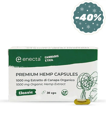 Premium Hemp Extract CBD Capsules