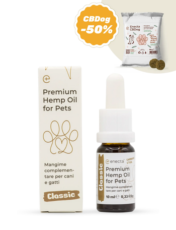 Premium Hemp Oil for Pets