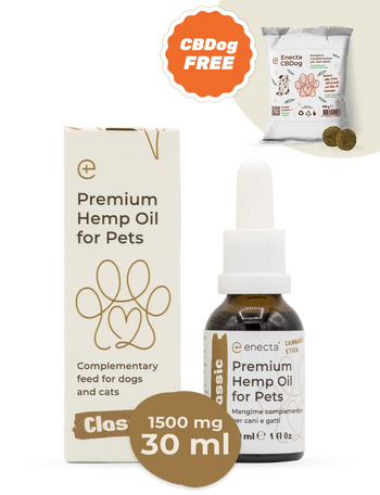 Premium Hemp Oil for Pets