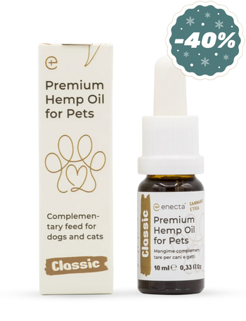 Premium Hemp Oil for Pets