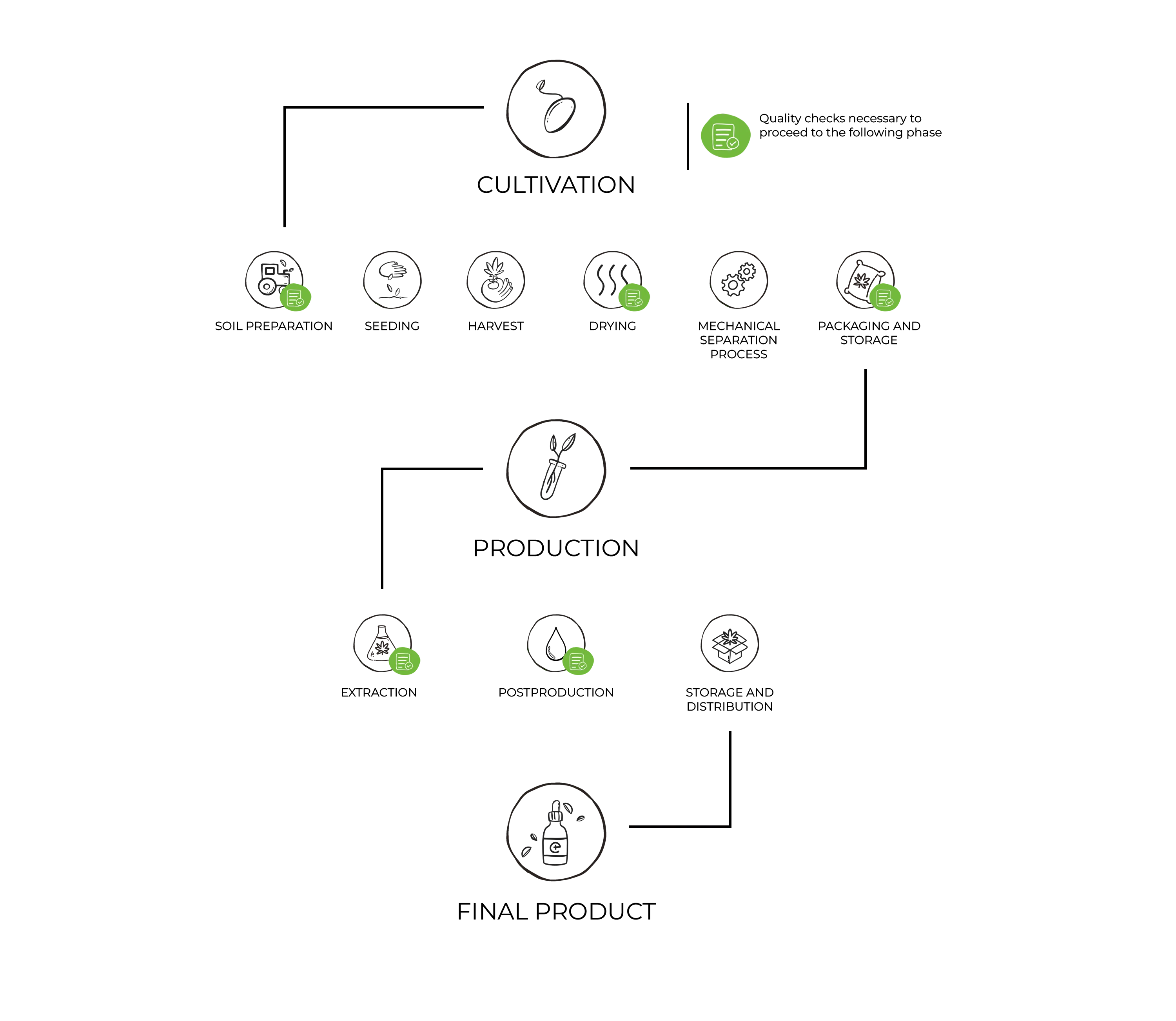 Cbd Process What is CBD? The complete guide – Enecta